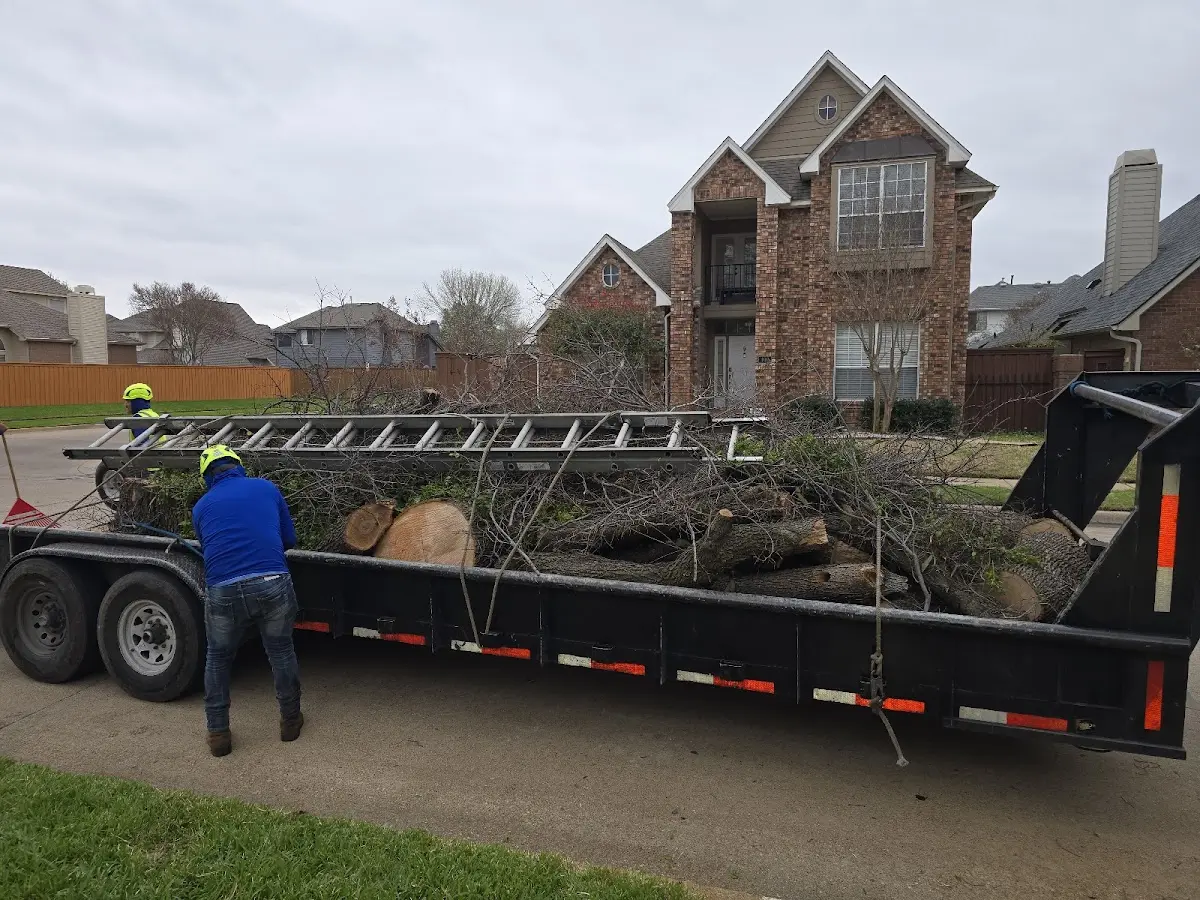 Expert Tree Removal with proper safety equipment in Grand Rivers